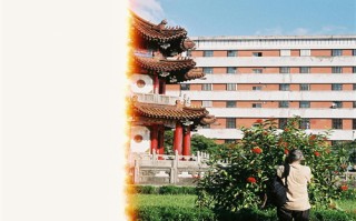 黎明绝杀剧情介绍（黎明绝杀剧情介绍大结局）