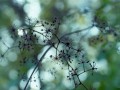 死亡笔记分集剧情介绍（死亡笔记分集剧情简介）