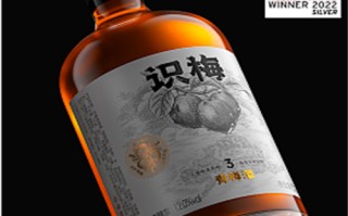 大秦帝国之崛起剧情介绍（秦孝公暗示儿子杀商鞅）