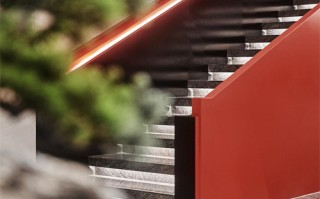 惊夜剧情介绍（夜惊魂简介）