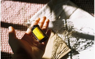 分歧者3剧情详细介绍（分歧者3）