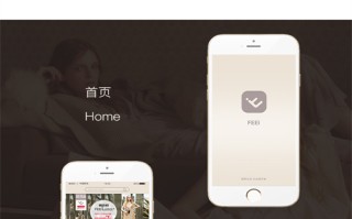 姐妹通灵剧情介绍（通灵姐妹免费观看完整）