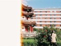 倾世皇妃剧情介绍（倾世皇妃剧情介绍演员表）