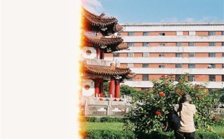 倾世皇妃剧情介绍（倾世皇妃剧情介绍演员表）