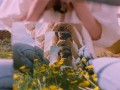 芈月传70集剧情介绍（芈月传71至81集剧情介绍）